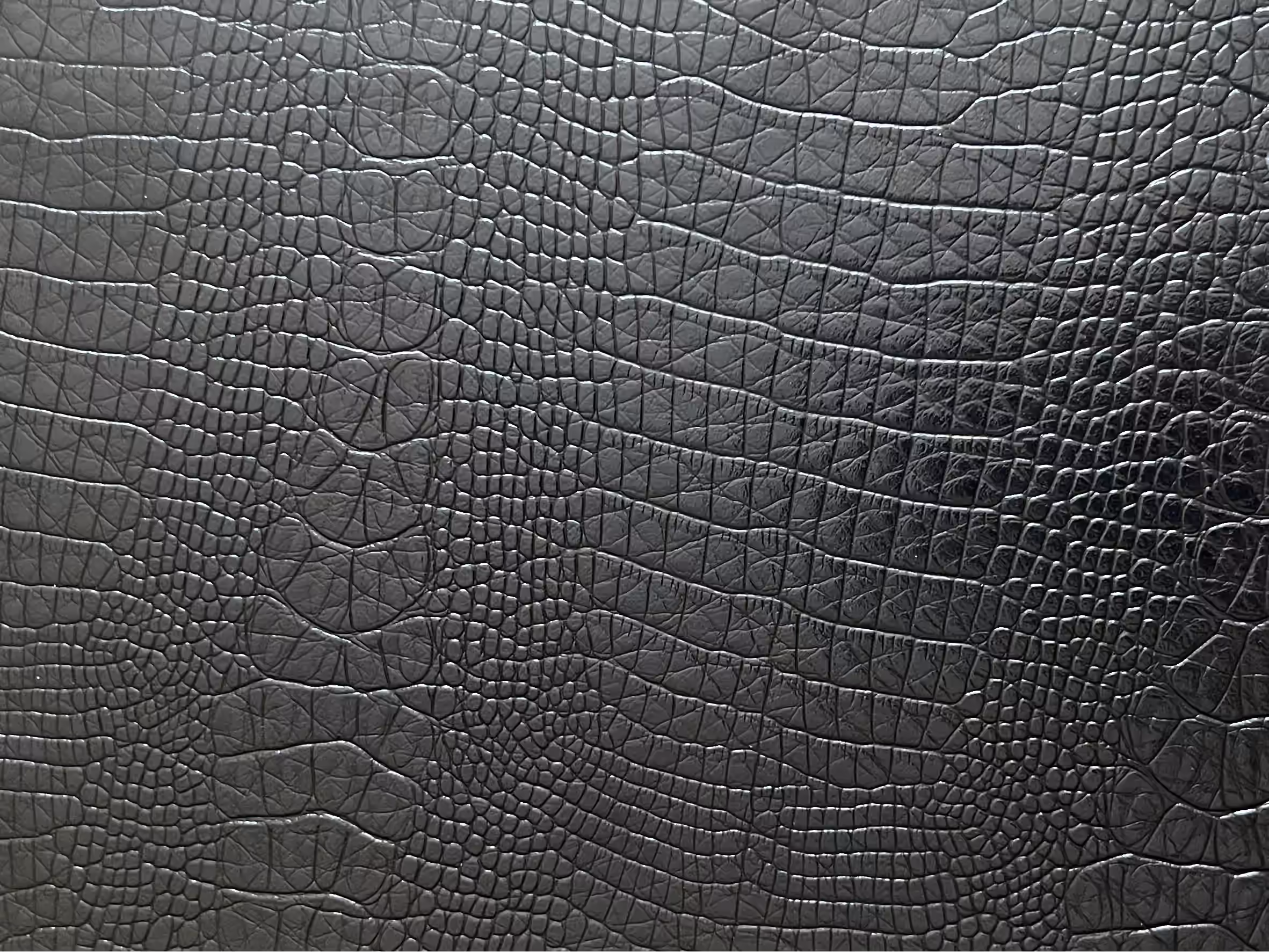 crocodile-leather-main-image