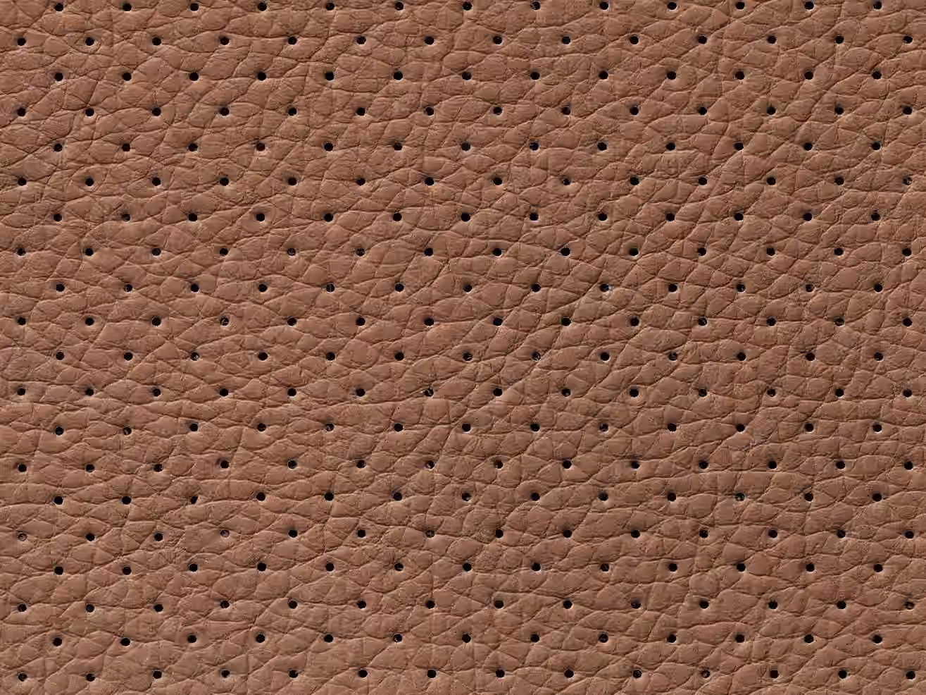 perforated-leather-main-image